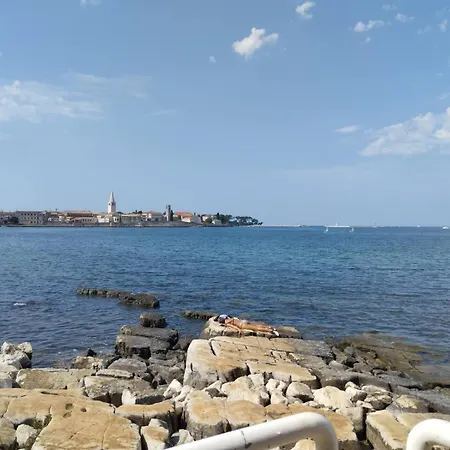 Maestral * Porec