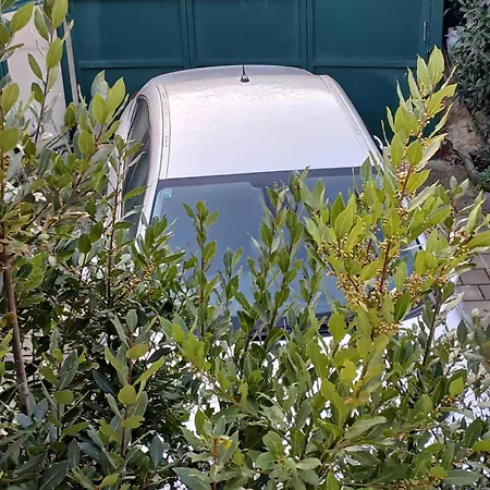 Apartment Maestral *