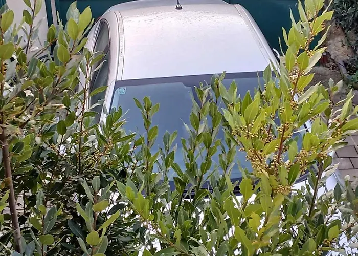 Appartamento Maestral *